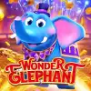 Wonder Elephant