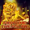 Fortune Treasure